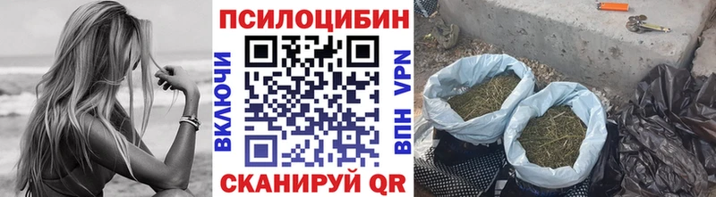 hydra   Уварово  Галлюциногенные грибы ЛСД 